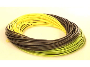 DT Presentation - #4/5F - Multi colour