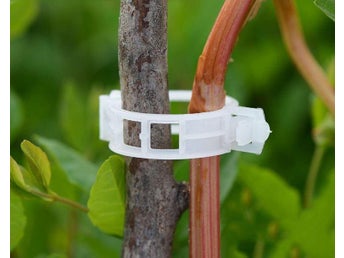 10 st växtstöd clips, stöd till växter, stödklämmor, klämmor
