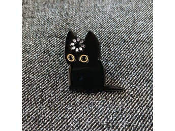 Kul pin Katt