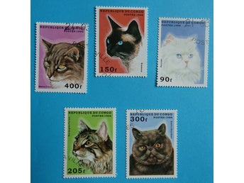 KONGO , katter . 5 frimärken , Siames Perser mm