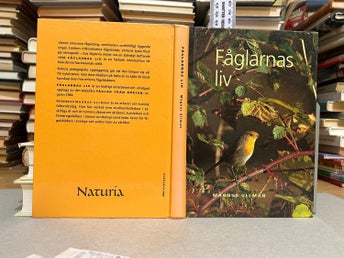 Fåglarnas liv av Magnus Ullman. bok, Very fine plus