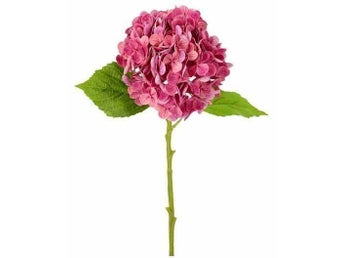 Hortensia plastblomma