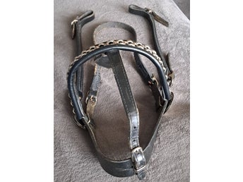 Horse bridles.Träns med kedjedetaljer och dekormedaljong