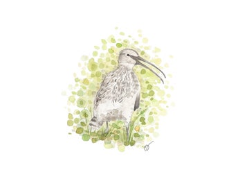 Print - Storspov - A3