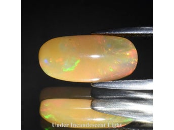 Färgsprakande! Naturlig Etiopisk Oval Cab Opal 3,49 Carat Video Finns I Annonsen