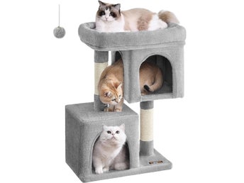 Feandrea kattträd, 74 cm katttorn, Cat Condo för medelstora katter upp PCT612W01