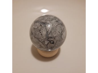 Fossilboll