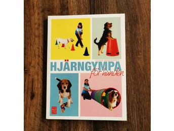Hjärngympa för hunden av Claire Arrowsmith