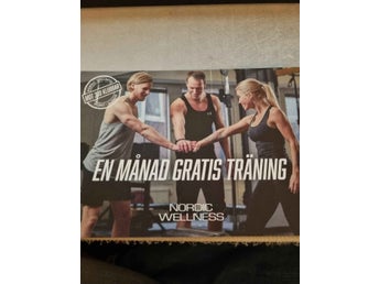 Nordic Wellness Träningskort