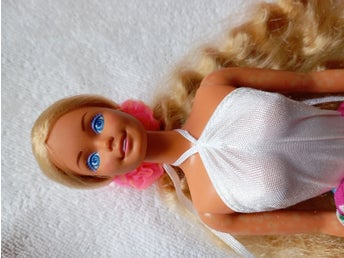 Barbie Island Fun docka med tillbehör