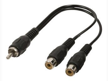 Kan du ansluta 2 subwoofers till en mottagare