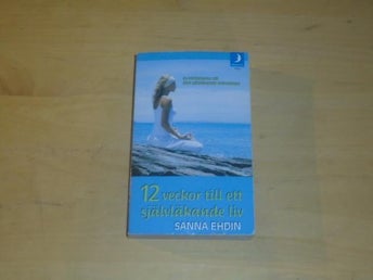 12 VECKOR TILL ETT SJÄLVLÄKANDE LIV - Sanna Ehdin
