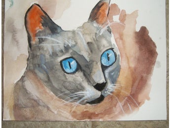 Akvarellmålning Katt A4