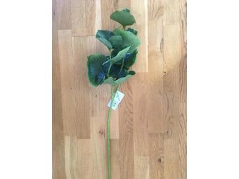1 Grön snitt växt / -74cm