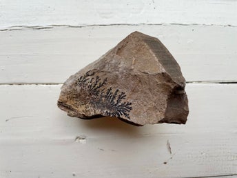 Dendrit fossil 490g