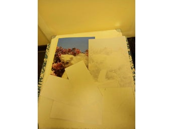 Retro Vintage brev brevpapper kuvert
