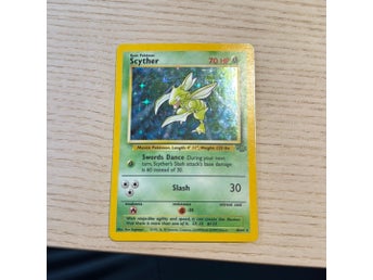 Schyter pokemon