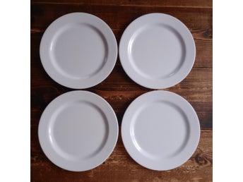 4 Picknick tallrikar pickninktallrkar