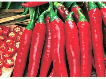 Cayenne Long Slim' 5 frön