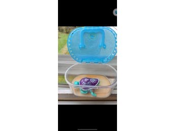 Little Live Pets Turtle med Hus