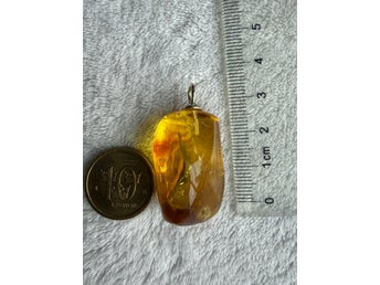 Hänge. Baltisk bärnsten med insekt,insektsfossil,fossil