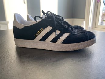 gazelle 37