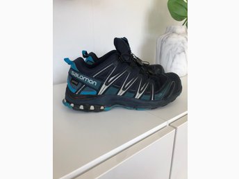 salomon xa pro 3d gtx 42