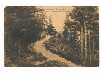 Sundsvall Stadsparken Skogsväg upp till Medelpads Fornhem ca 1910 KV 8
