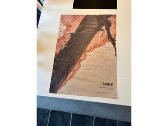 Poster HAKE