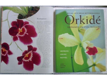 Orkidé – drömmen om evig skönhet