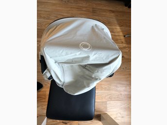 breezy sufflett cameleon