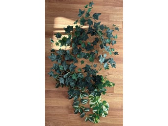 Konstgjorda växter - 2 Murgröna, 1 Silverranka och 1 Monstera