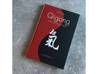 Qigong - så finner du din inre energi av Michael Tse