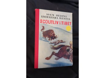 Sven Hedins Underbara Äventyr, Scoutliv i Tibet