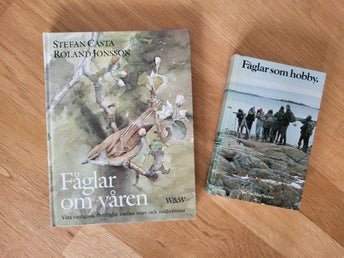 2 fågelböcker; Fåglar om våren / Fåglarna som hobby