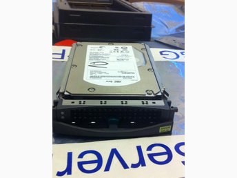 Fujitsu 300GB 10K SAS 3.5"   P/N S26361-H981-V100