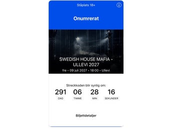 Swedish House Mafia - Ullevi 9 juli 2027 - Ståplats