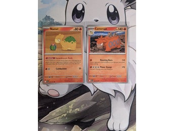 Numel #27 + Camerupt #28 - Pokemon Ascended Heroes
