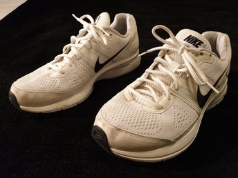 dsw nike pegasus