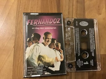 Fernandoz - En Dag Den Sommaren Kassettband