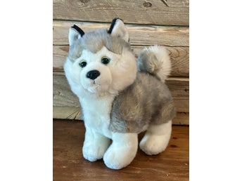 Mjukdjur Husky Hund Nordic Souvenir D