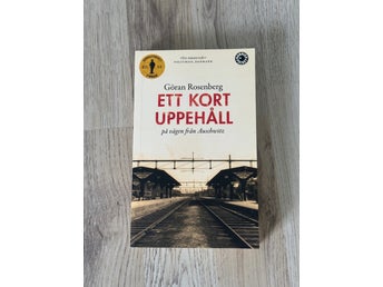 Ett kort uppehåll av Göran Rosenberg, 2012