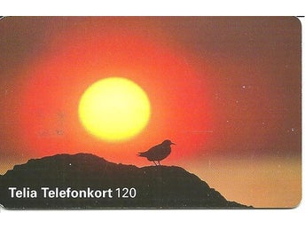 Telia Telefonkort 120 markerkeringar - Foto: Tero Niemi