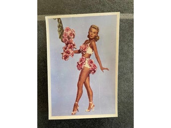 STÖRRE BILDER - TIDIGT 50-TAL- ONUMRERADE - # 12 - VERA ELLEN -SVÅR SERIE !