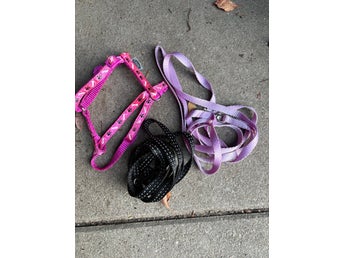 NYTT** SELE ** /halsband ROSA, 2 koppel, svart och lila. Katt / kanin