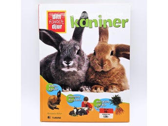 Kaniner - ditt favorit djur - Michaela Miller