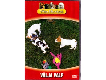Våra Hundar - Välja Valp - DVD