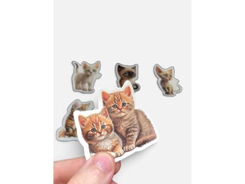 Kattklistermärken. 6 st helt nya