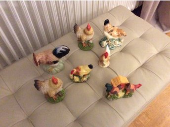 Bilder av de största tuppar
