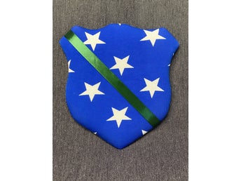 Märkestavla för simmärken/smycken Blå stjärna/Grönt satinband